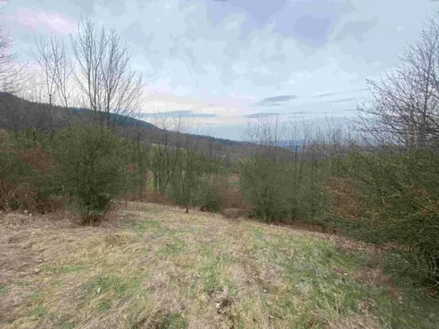 Dražba louky, Mírová pod Kozákovem, 1000 m2