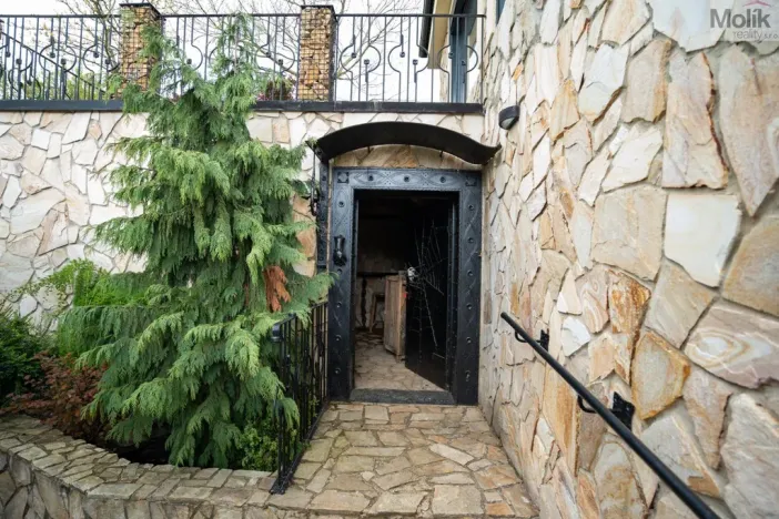 Pronájem rodinného domu, Háj u Duchcova - Domaslavice, Lesní stezka, 700 m2