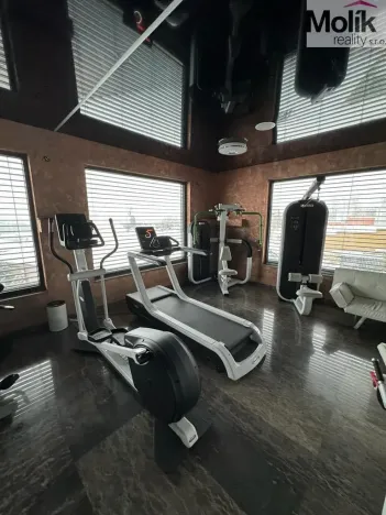 Pronájem rodinného domu, Háj u Duchcova - Domaslavice, Lesní stezka, 700 m2