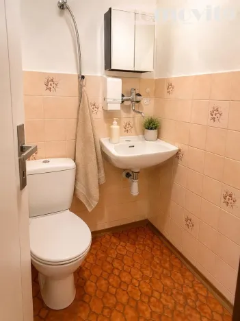 Pronájem rodinného domu, Hradec Králové, K Hvězdárně, 280 m2