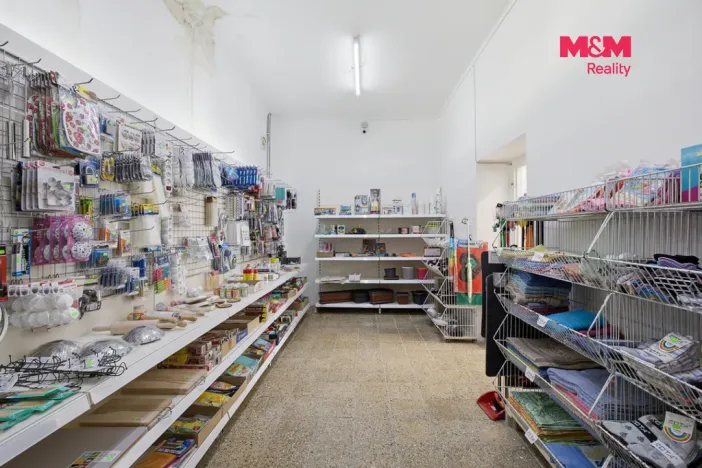 Prodej rodinného domu, Lužná, Čsl. armády, 280 m2