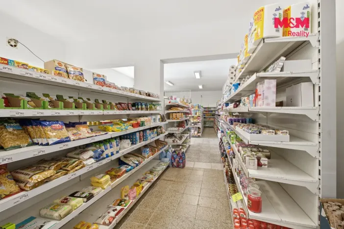 Prodej rodinného domu, Lužná, Čsl. armády, 280 m2