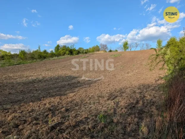 Prodej zahrady, Nosislav, 678 m2