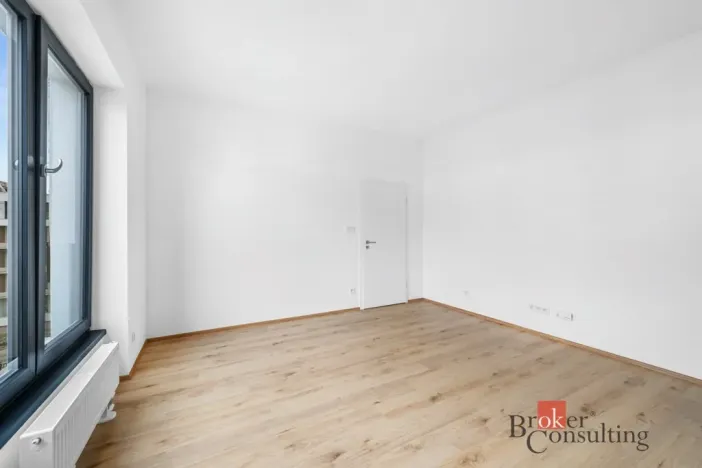 Pronájem bytu 1+kk, Plzeň - Jižní Předměstí, Železná, 26 m2