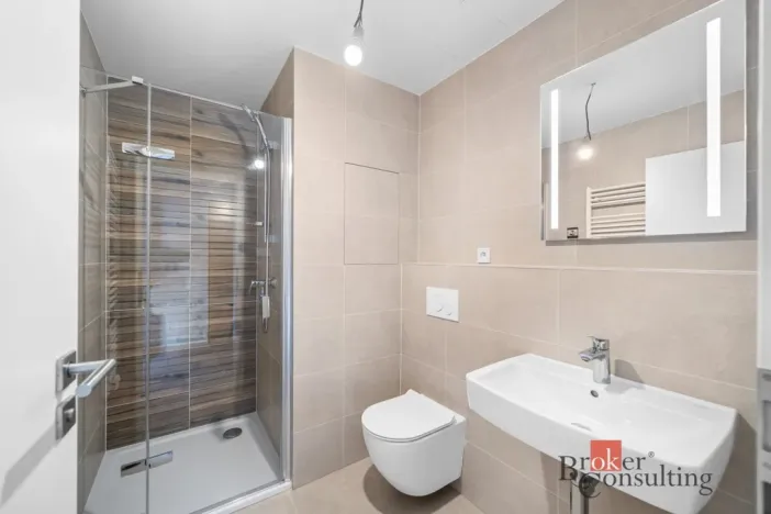 Pronájem bytu 1+kk, Plzeň - Jižní Předměstí, Železná, 26 m2