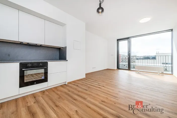 Pronájem bytu 2+kk, Plzeň - Jižní Předměstí, Železná, 66 m2