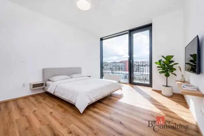 Pronájem bytu 2+kk, Plzeň - Jižní Předměstí, Železná, 66 m2