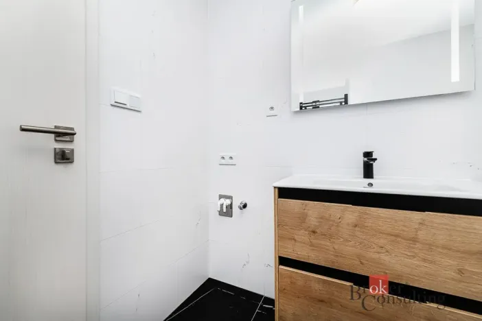 Pronájem bytu 2+kk, Plzeň - Jižní Předměstí, Železná, 66 m2