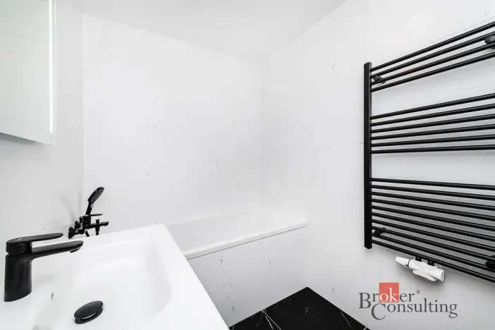 Pronájem bytu 2+kk, Plzeň - Jižní Předměstí, Železná, 66 m2