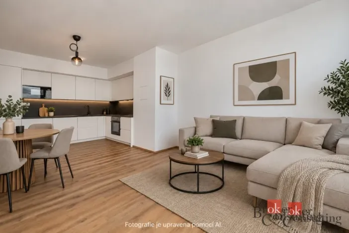 Pronájem bytu 2+kk, Plzeň - Jižní Předměstí, Železná, 66 m2