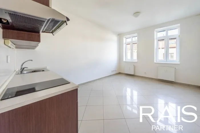 Prodej bytu 1+kk, Brno - Husovice, Svitavská, 35 m2