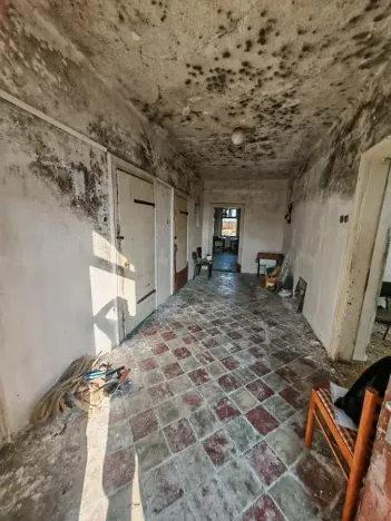 Prodej rodinného domu, Zaječice, 299 m2