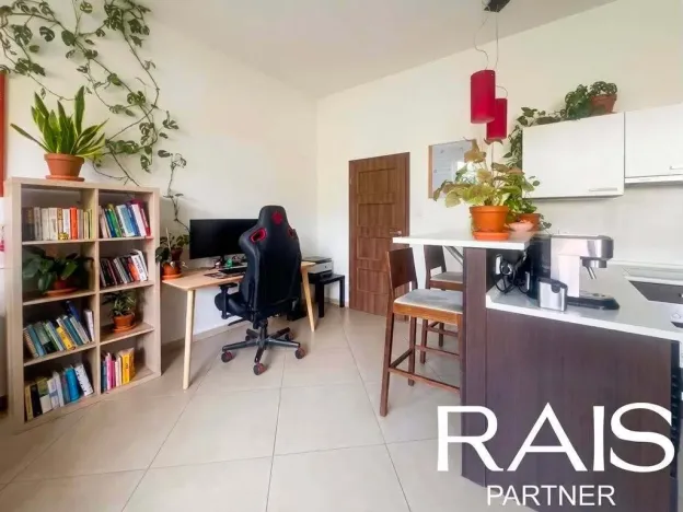 Prodej bytu 2+kk, Brno - Husovice, Svitavská, 79 m2
