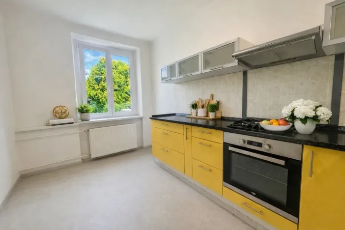Prodej bytu 2+1, Brno - Černovice, Elišky Krásnohorské, 57 m2