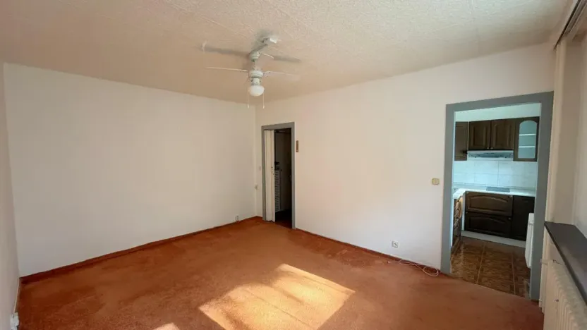 Pronájem bytu 1+kk, Praha - Podolí, Kaplická, 33 m2