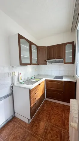 Pronájem bytu 1+kk, Praha - Podolí, Kaplická, 33 m2