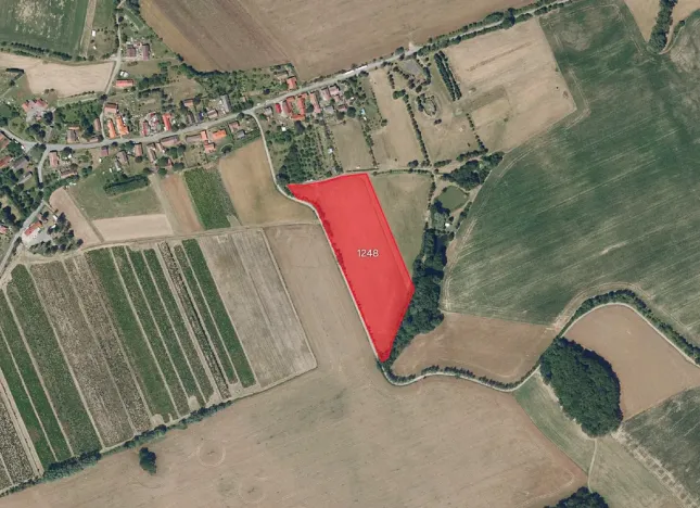 Prodej pole, Kraborovice, 8006 m2
