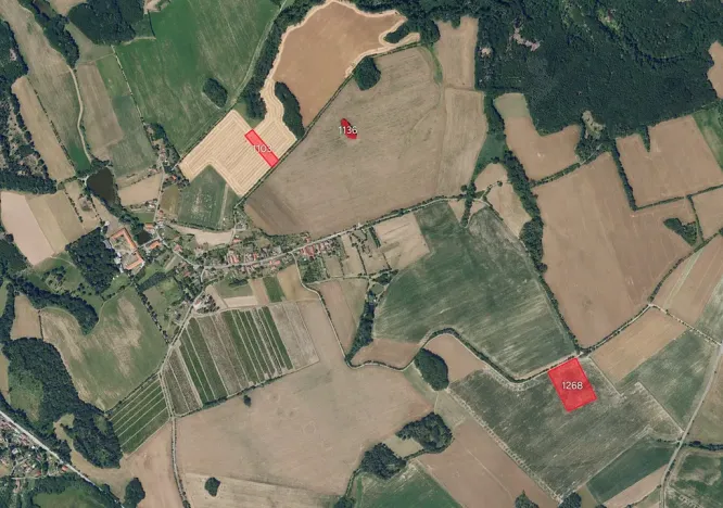 Prodej pole, Kraborovice, 8583 m2