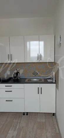 Prodej bytu 1+1, Brno - Lesná, Halasovo náměstí, 32 m2