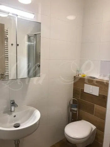 Pronájem bytu 2+kk, Brno - Zábrdovice, Francouzská, 40 m2