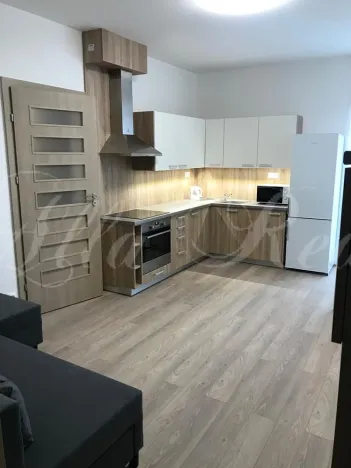 Pronájem bytu 2+kk, Brno - Zábrdovice, Francouzská, 40 m2