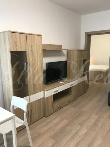 Pronájem bytu 2+kk, Brno - Zábrdovice, Francouzská, 40 m2