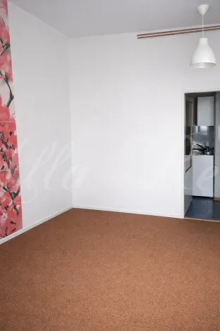 Pronájem bytu 1+1, Brno - Veveří, Štefánikova, 35 m2