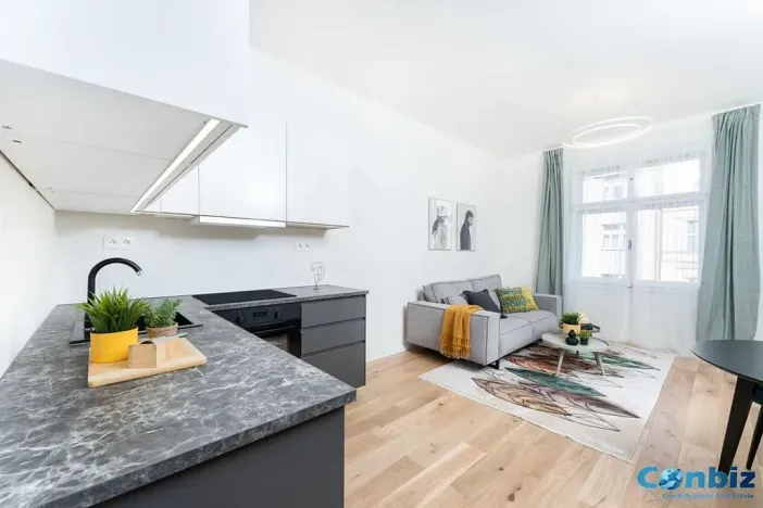 Pronájem bytu 2+kk, Praha - Vinohrady, Libická, 49 m2