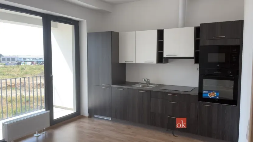 Pronájem bytu 1+kk, Plzeň - Jižní Předměstí, Železná, 34 m2
