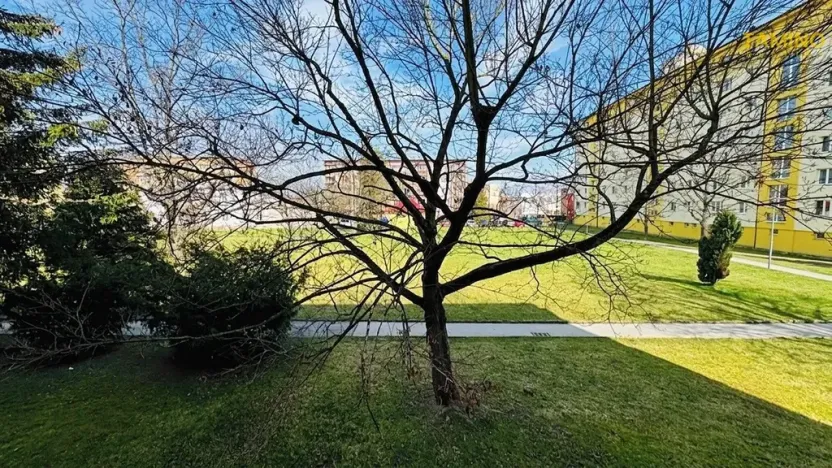 Pronájem bytu 3+1, Třebíč, Družstevní, 69 m2