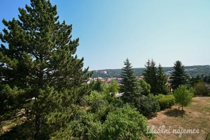 Pronájem bytu 2+1, Náměšť nad Oslavou, Zborovská, 48 m2