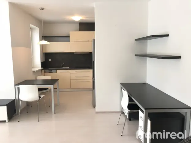 Pronájem bytu 1+kk, Brno, Podveská, 42 m2