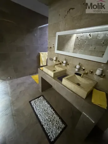 Pronájem rodinného domu, Háj u Duchcova - Domaslavice, Lesní stezka, 160 m2