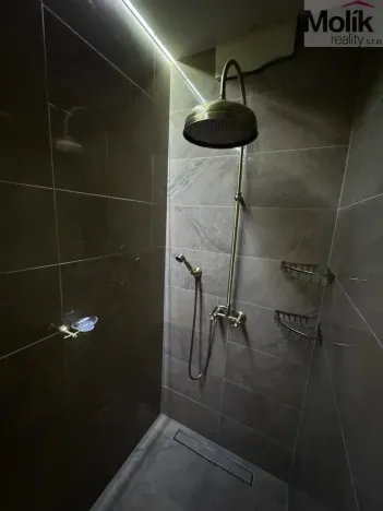 Pronájem rodinného domu, Háj u Duchcova - Domaslavice, Lesní stezka, 160 m2