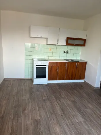 Pronájem bytu 1+1, Přerov, Mervartova, 53 m2