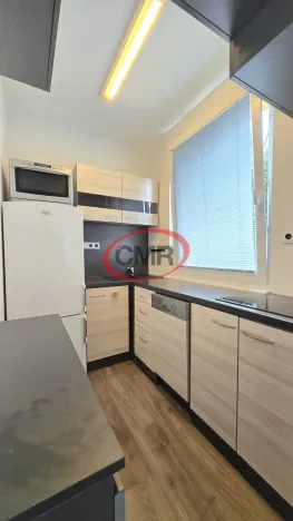 Pronájem bytu 1+1, Praha, Rakovského, 33 m2