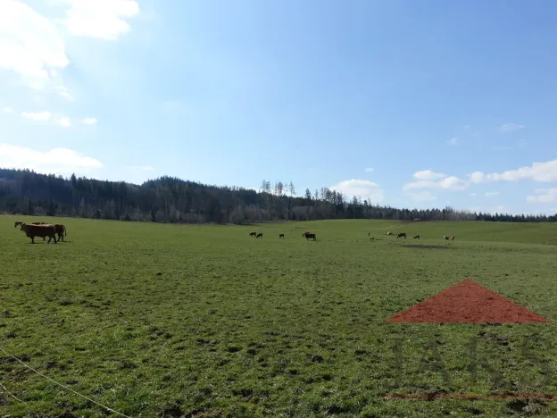 Prodej pozemku pro bydlení, Janovice nad Úhlavou, 7774 m2