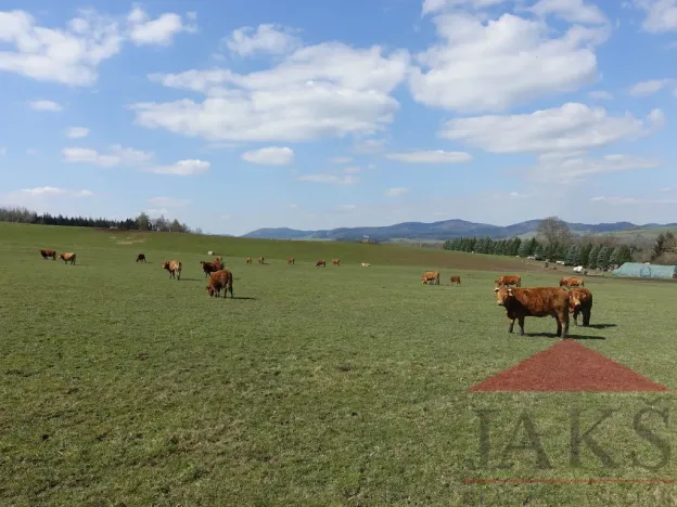 Prodej pozemku pro bydlení, Janovice nad Úhlavou, 4086 m2