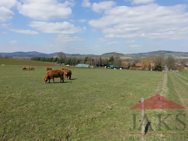 Prodej pozemku pro bydlení, Janovice nad Úhlavou, 4086 m2