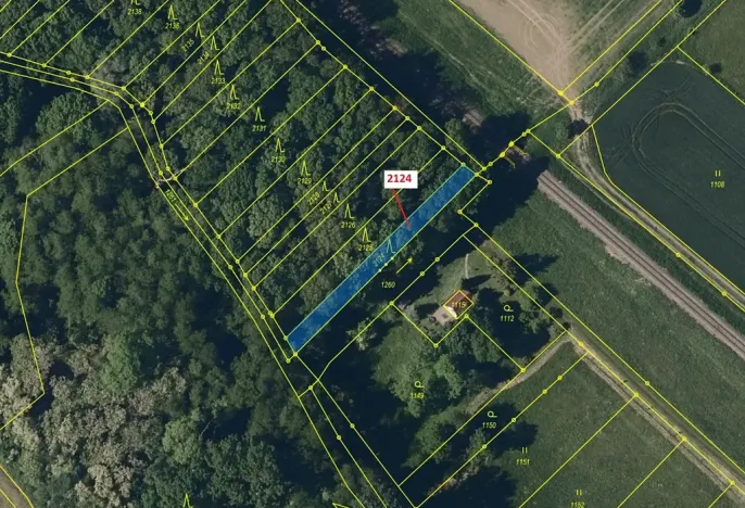 Dražba lesa, Bezměrov, 380 m2