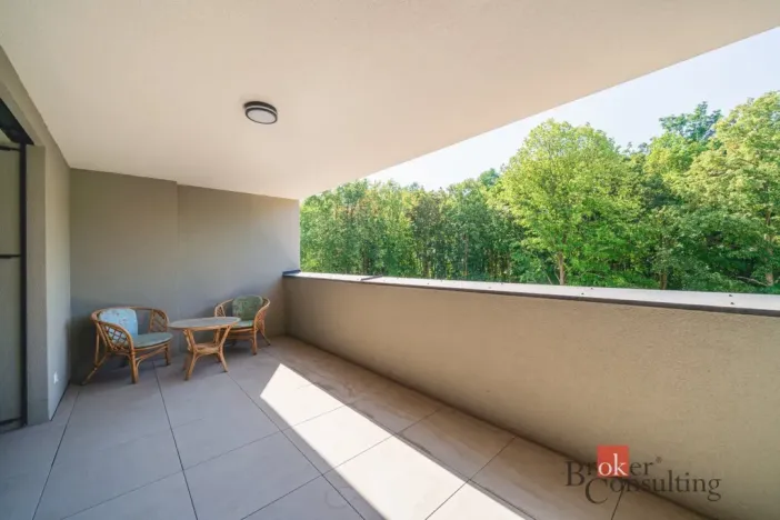 Pronájem bytu 2+kk, Plzeň - Doudlevce, Heyrovského, 60 m2
