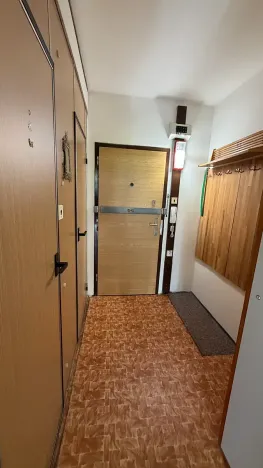 Pronájem bytu 1+kk, Praha - Chodov, Nad Opatovem, 30 m2