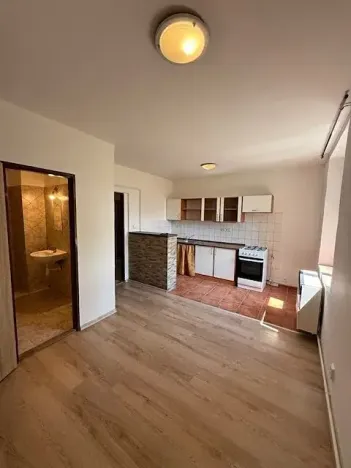 Pronájem bytu 1+kk, Český Brod, Želivského, 52 m2