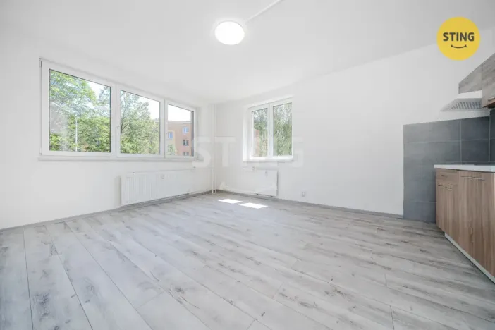Prodej bytu 2+kk, Ostrava - Hrabůvka, Plzeňská, 48 m2