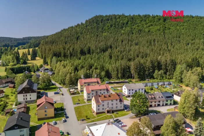 Prodej bytu 3+1, Borová Lada, 70 m2