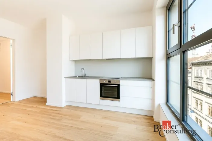 Pronájem bytu 1+kk, Brno - Zábrdovice, Bratislavská, 24 m2