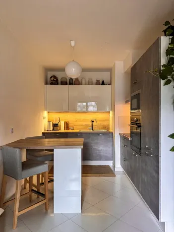 Pronájem bytu 2+kk, Praha - Žižkov, Olšanská, 50 m2