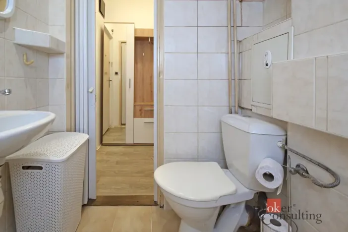 Prodej bytu 1+kk, Liberec - Liberec III-Jeřáb, Františkovská, 21 m2