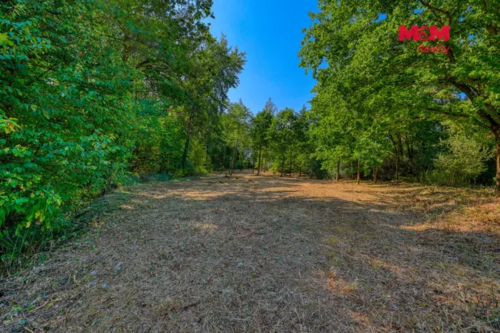 Prodej zahrady, Velký Bor - Slivonice, 2248 m2