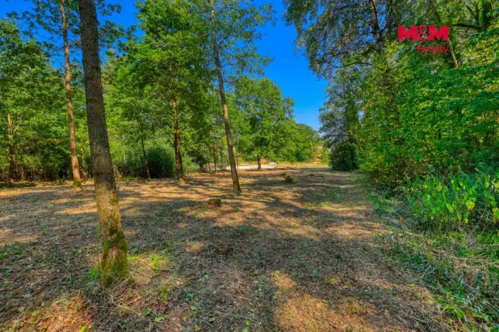 Prodej zahrady, Velký Bor - Slivonice, 2248 m2